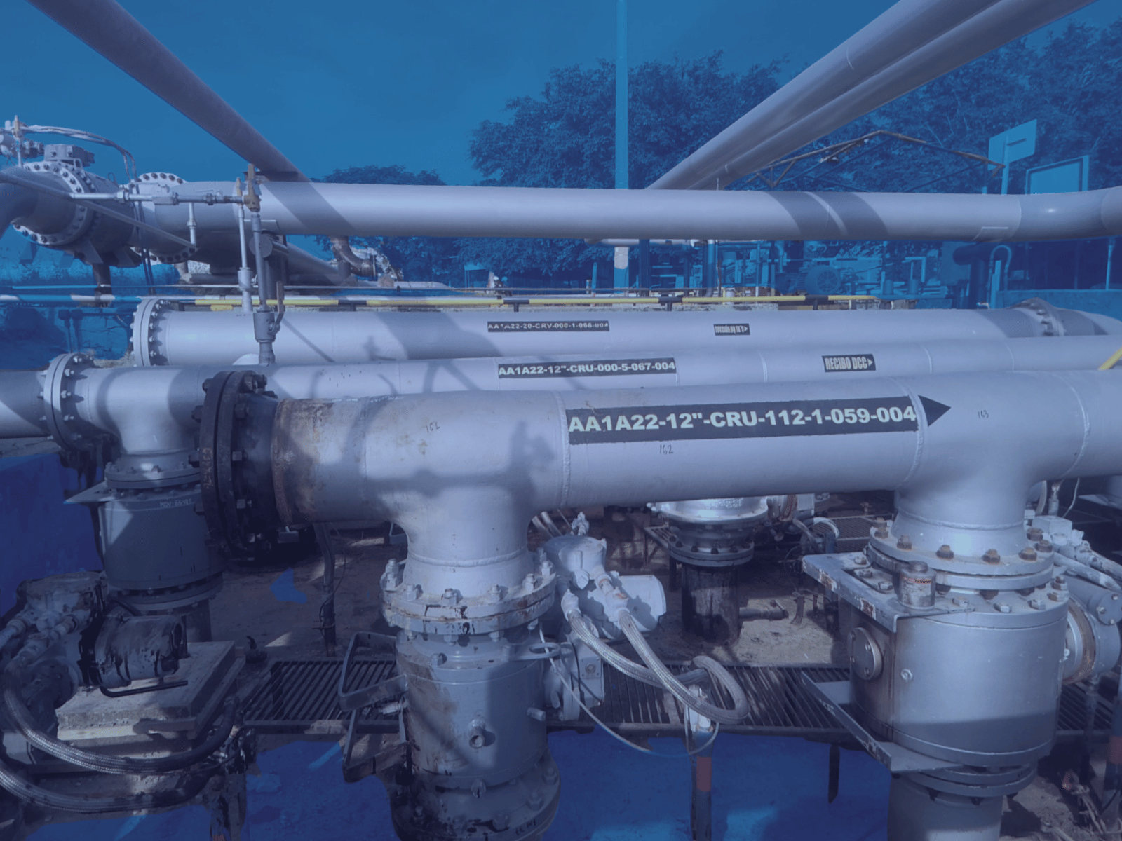 Proyecto: prima uno - reversión